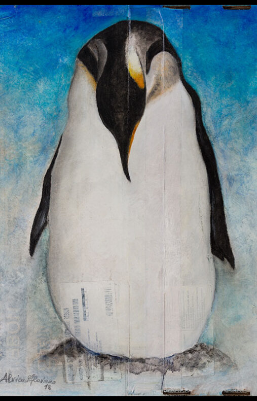 Animali